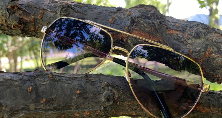 Metal Sunglasses On Tree