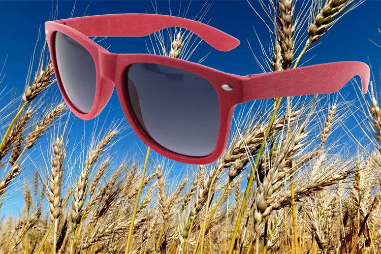 wheat straw sunglasses