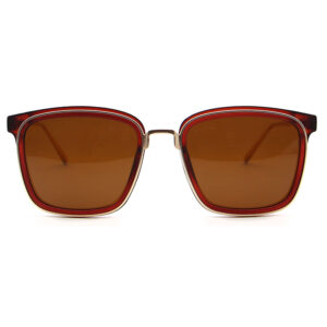 Brown polarized sunglasses